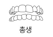 총생